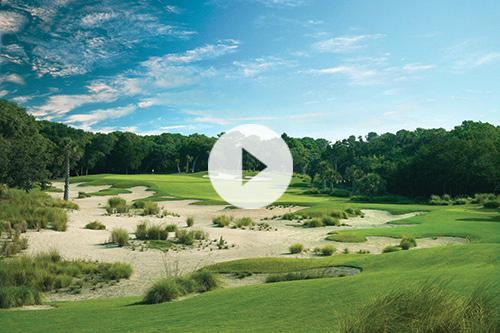 Golf Hole Video