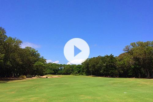 Golf Hole Video